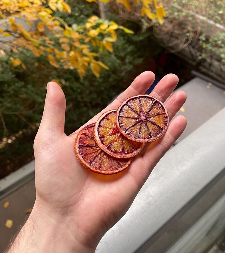 Dehydrated Blood Orange Slices - Eleve
